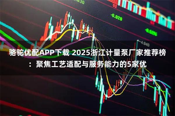 骆驼优配APP下载 2025浙江计量泵厂家推荐榜：聚焦工艺适配与服务能力的5家优