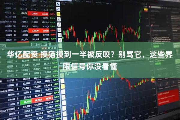 华亿配资 摸猫摸到一半被反咬？别骂它，这些界限信号你没看懂
