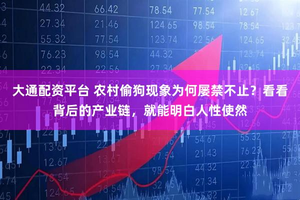 大通配资平台 农村偷狗现象为何屡禁不止？看看背后的产业链，就能明白人性使然